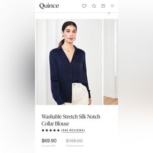 NWT Washable Silk Button Down